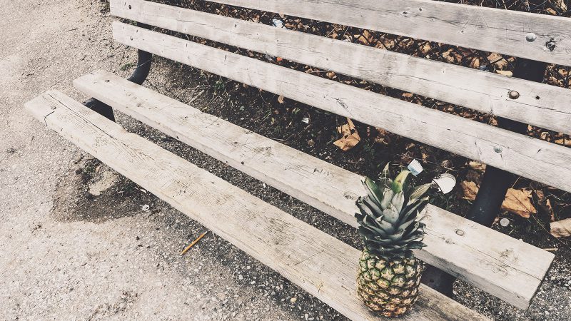 A Lonely Pinapple in The Wild